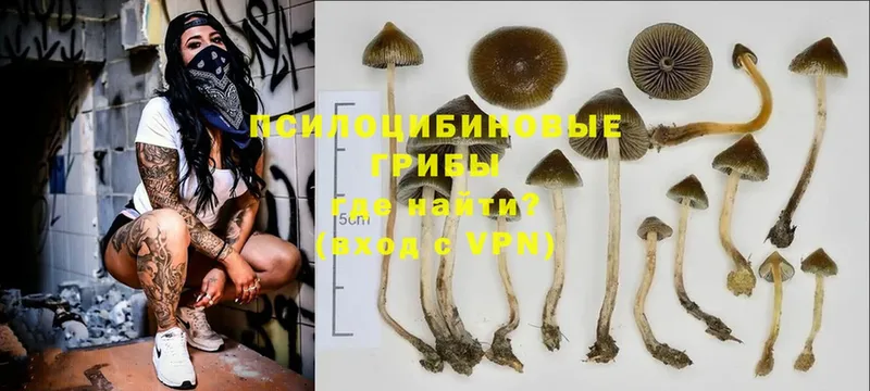 магазин  наркотиков  Сретенск  Галлюциногенные грибы GOLDEN TEACHER 